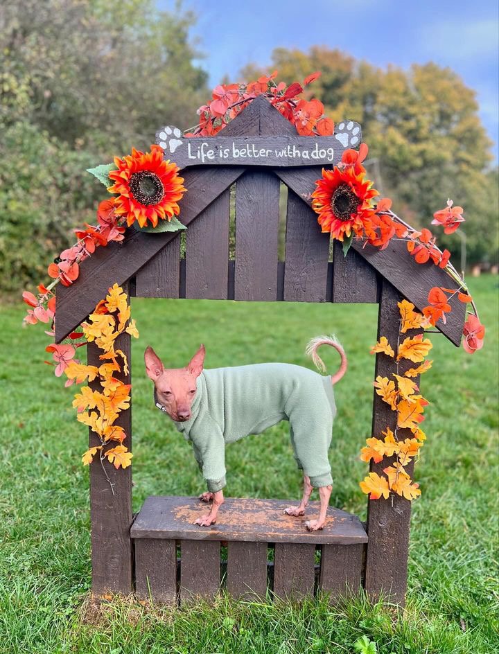 Ultra-Stretch Fleece Suit - Navy Blue