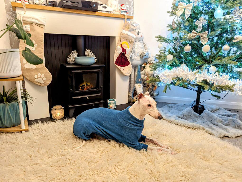 Fleece Lined Sweatshirt - Teal