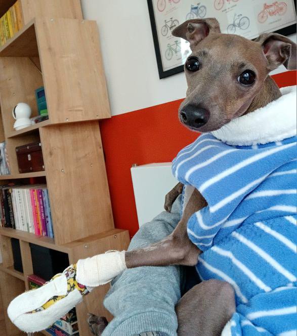Dressing Gown - Blue Stripe