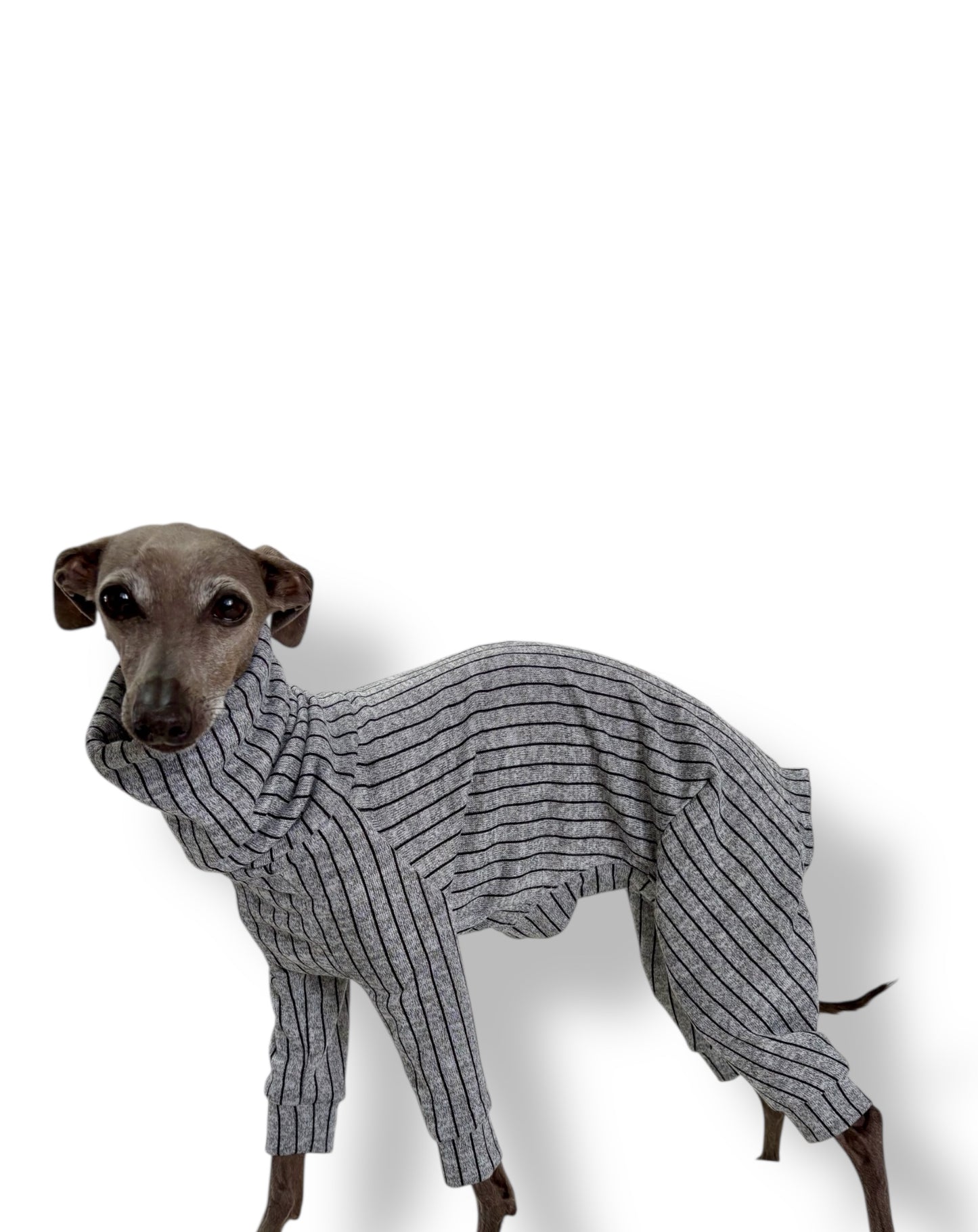 Knit Jersey Suit - Grey Stripe