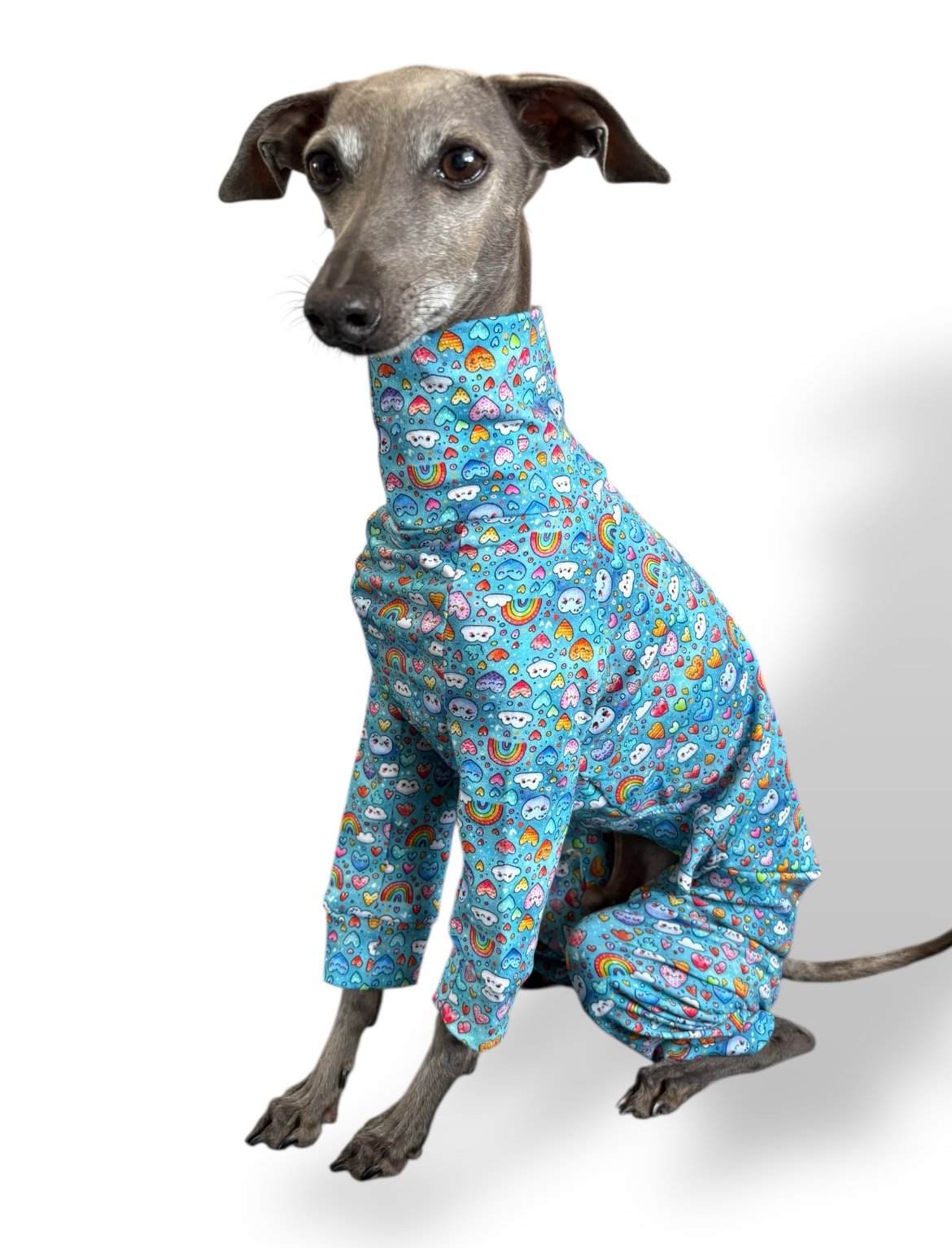 Jersey Suit - Kawaii