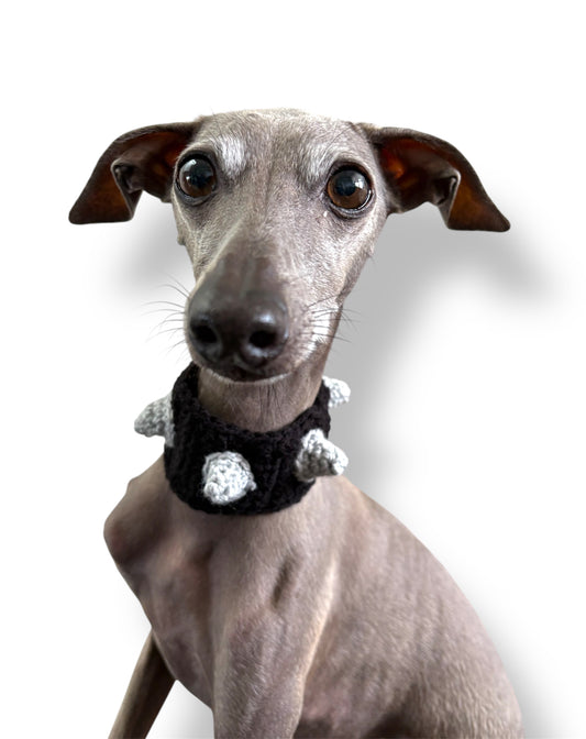 Spiked Dog Collar