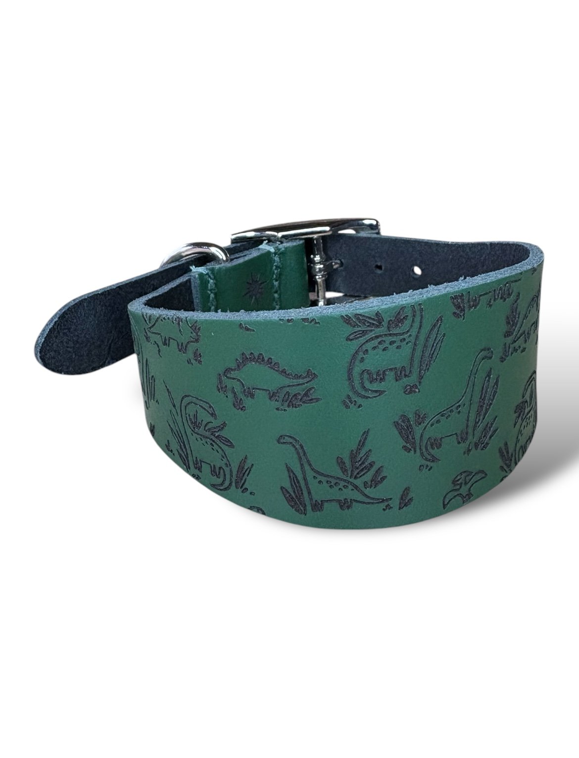 Leather Collar - Dinosaurs