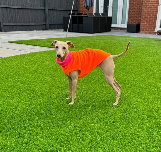 Fleece Vest - Colour Block Puppy Fleece