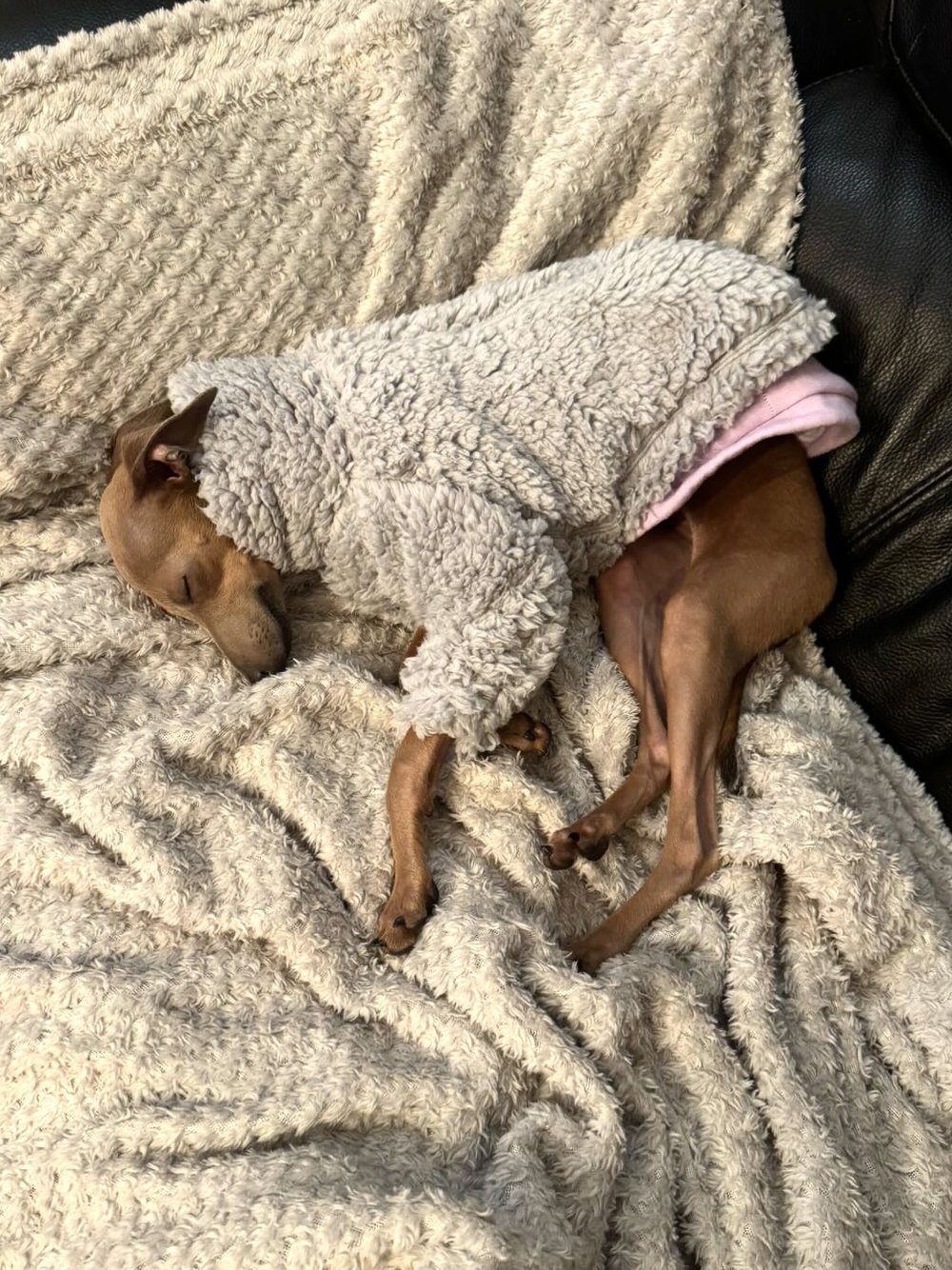 Cuddle Fur Fleece Jumper - Little Lamb