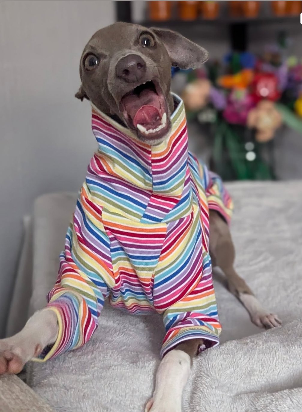 Jersey T-Shirt- Rainbow Stripes