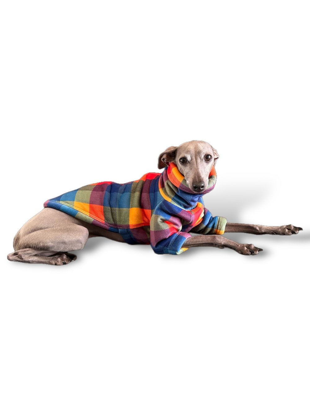 Sherpa Lined Fleece Jumper - Bright Plaid