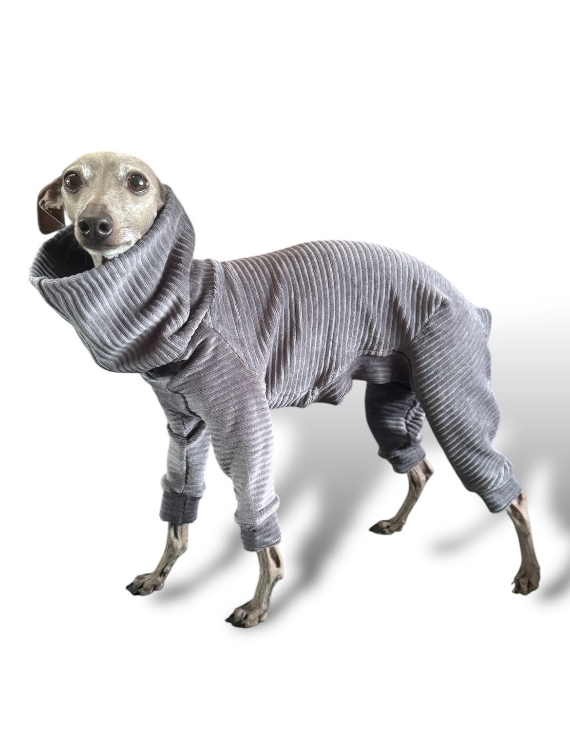 Jumbo Cord Jersey Suit - Grey