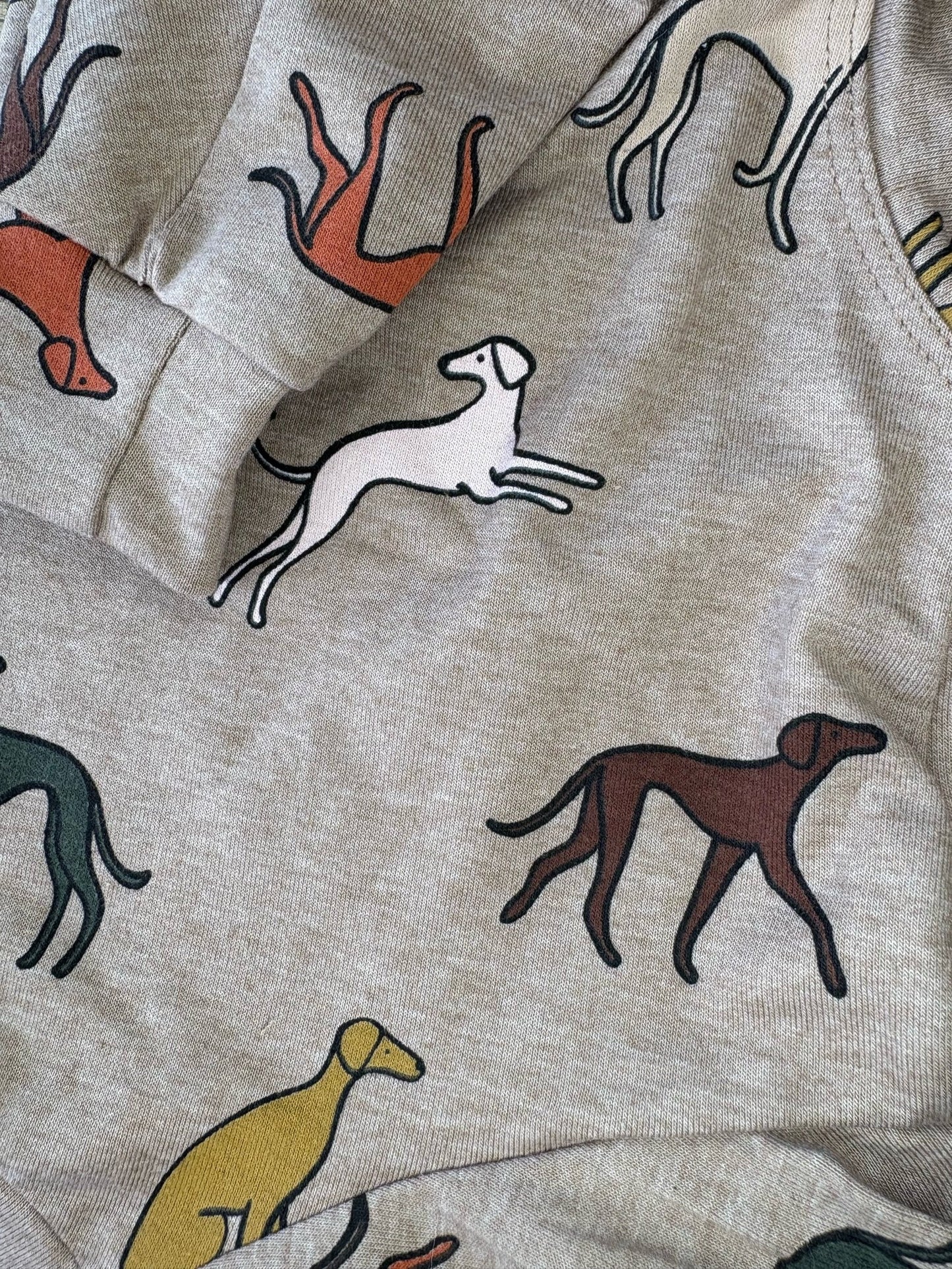 Jersey Suit - Houndin' Around!