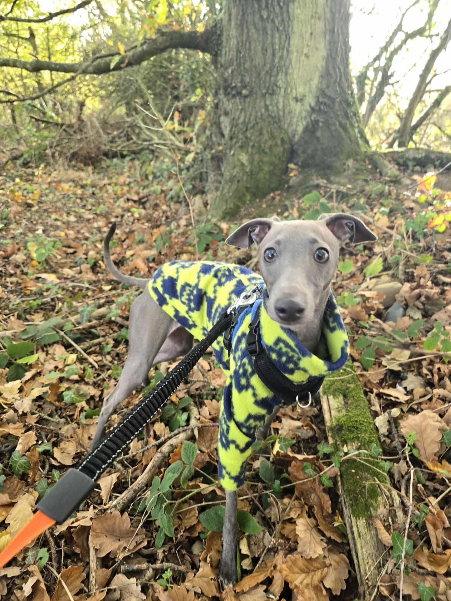Ultra-Stretch Fleece Jumper - Burgundy Tartan & Navy