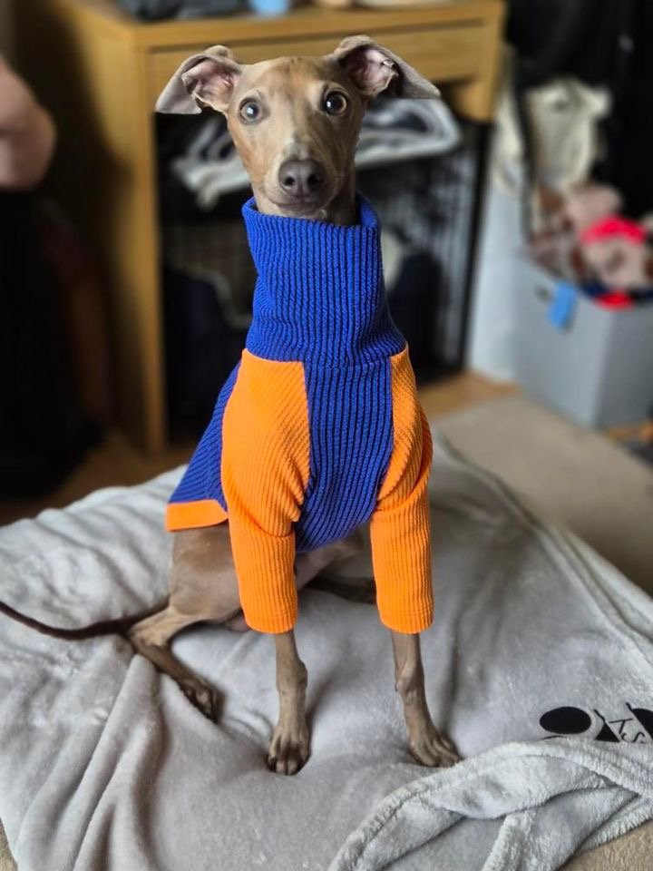 Ribbed Jersey T-Shirt - Orangina