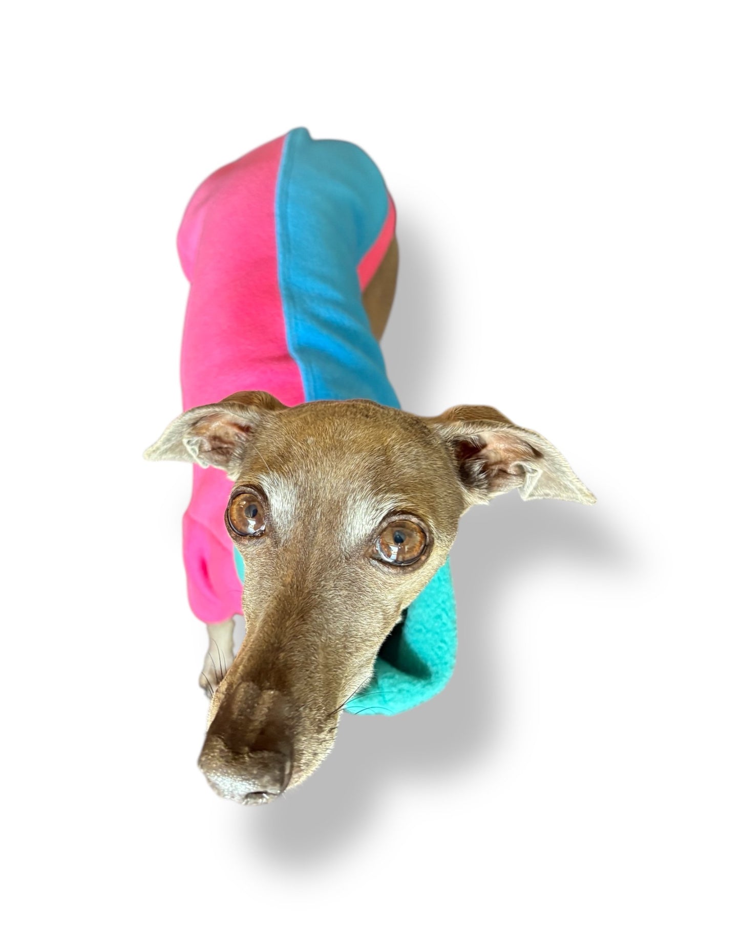 Fleece Jumper - Neon Colourblock