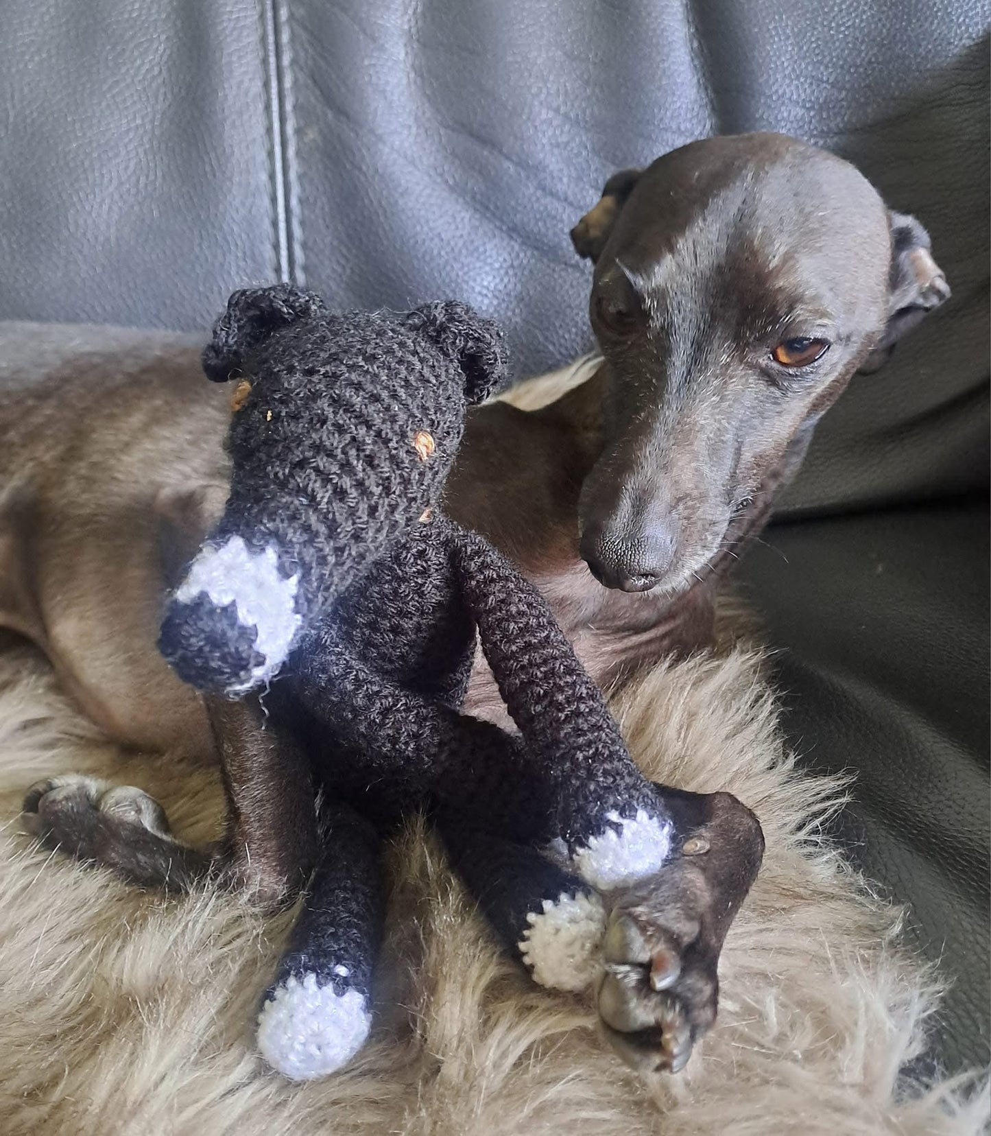 Crochet Hound - Black