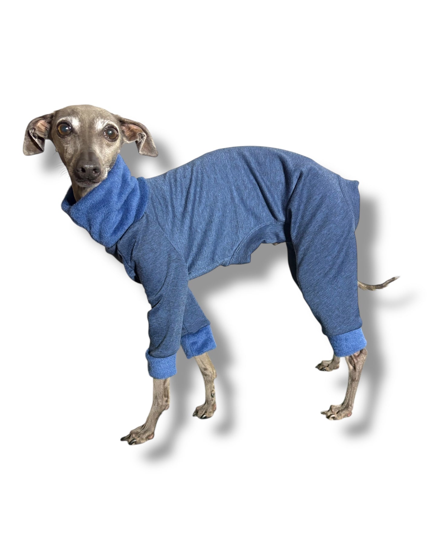 Fleece Lined Sweatshirt - Blue