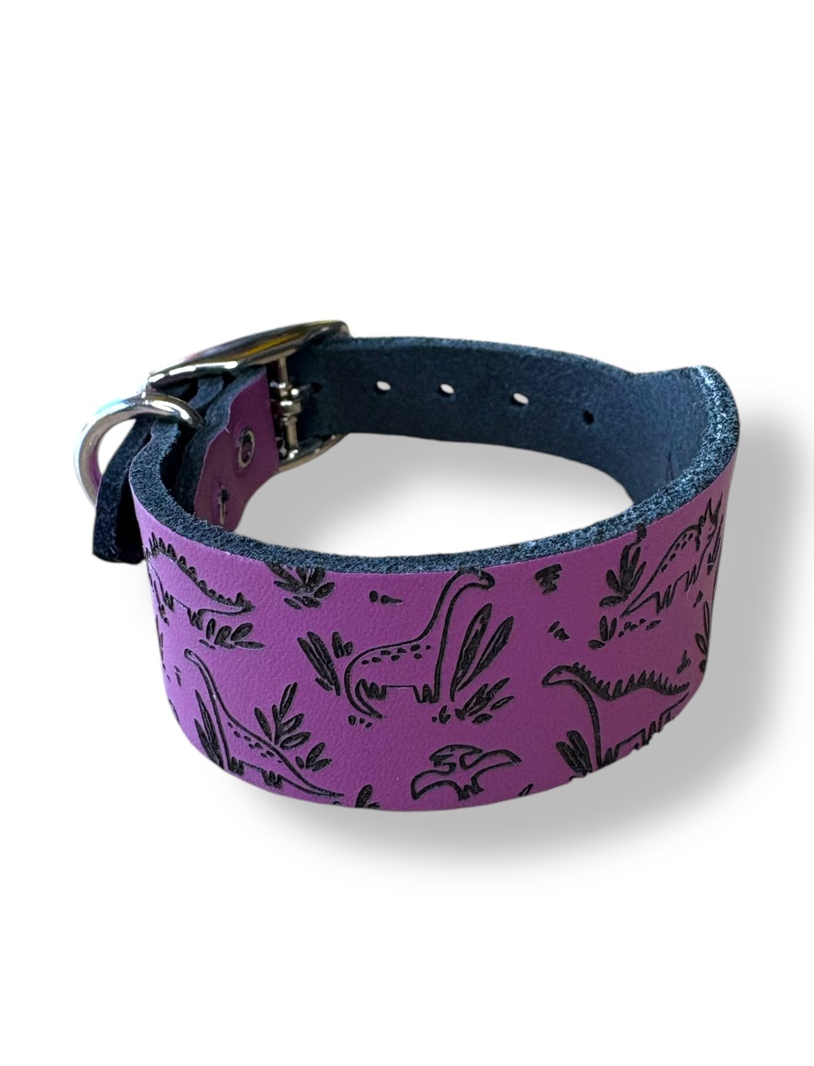 Leather Collar - Dinosaurs