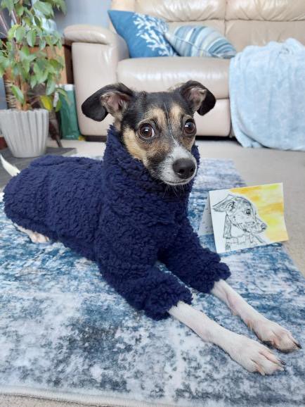 Cuddle Fur Fleece Suit - Baby Blue