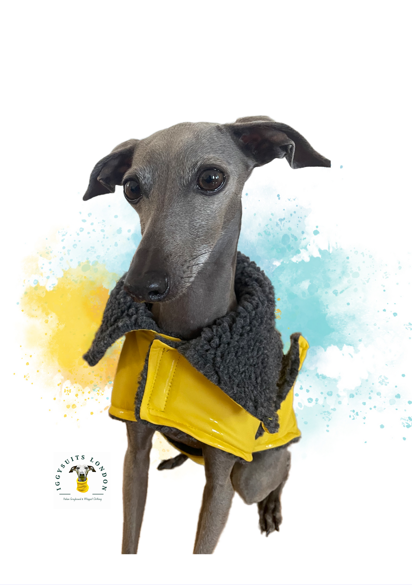 Rain Mac - Yellow Starfish & Boucle Fleece Lining