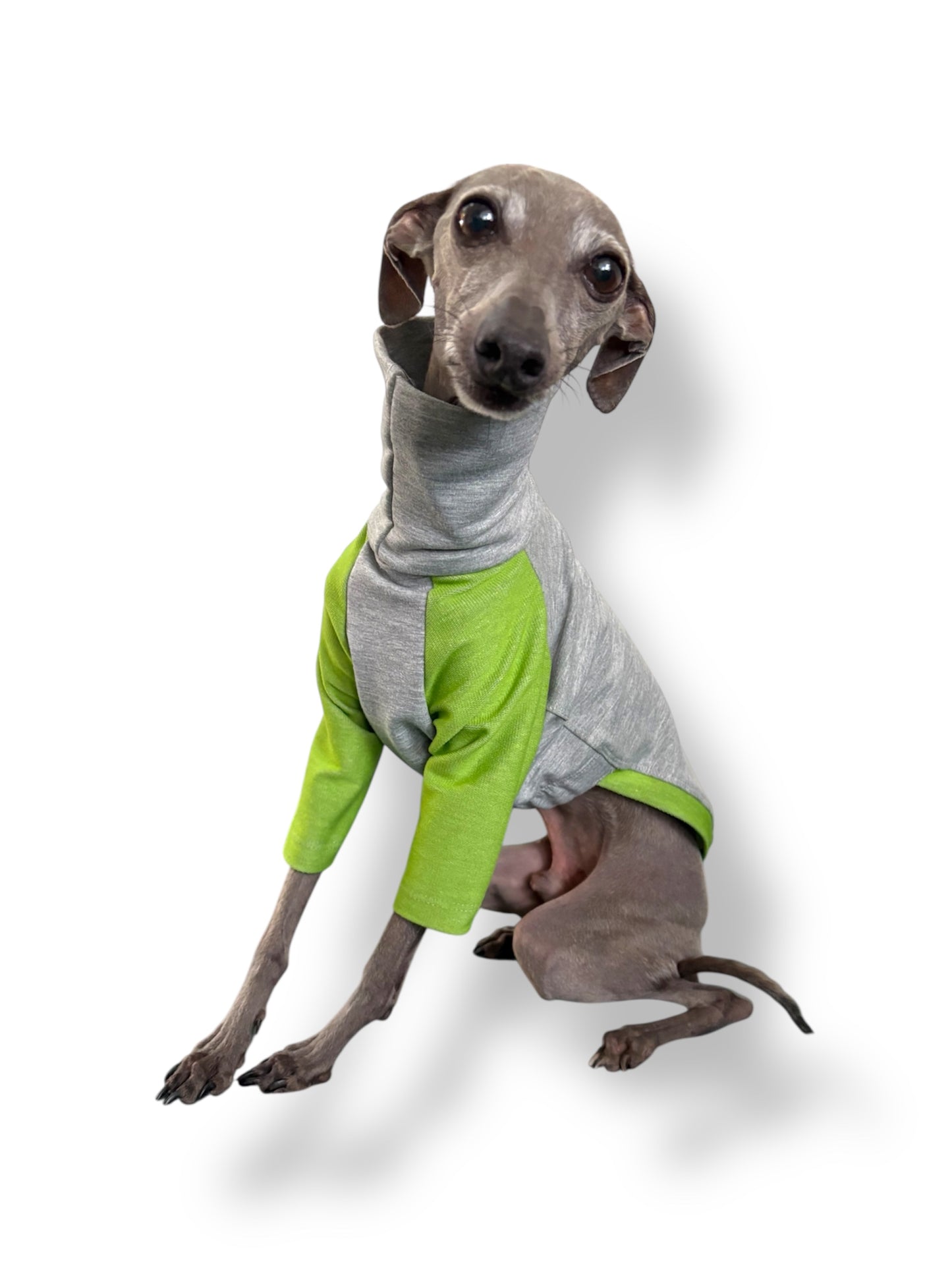 Raglan Sweatshirt - Green