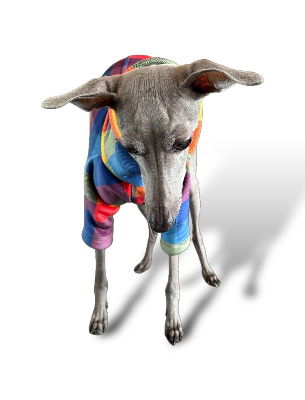 Sherpa Lined Fleece Jumper - Bright Plaid