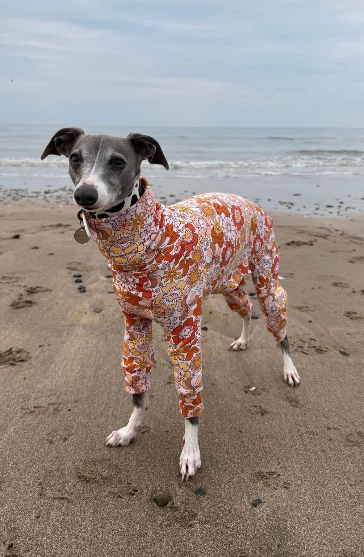 Jersey Suit - Retro Floral - Orange