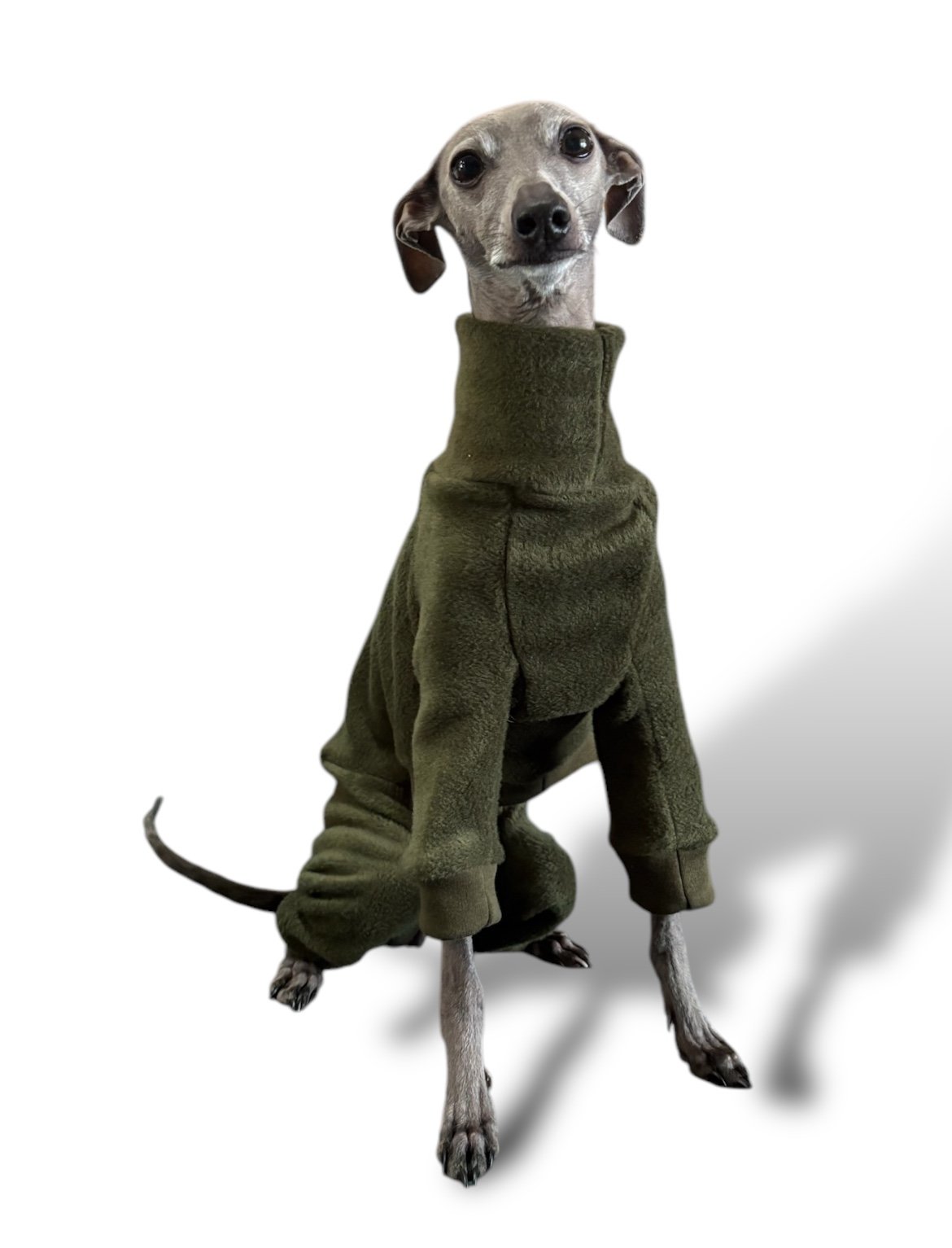 Trusted sighthound clothing brand, UK made italian greyhound clothing, cheap, Loko Pet Apparel, Hilarys Hounds, Hound Edit, Harvoola, DryDogs, Redhound, Ready-made Iggy clothing, Fast Dispatch, jersey dog suits, knitwear for dogs, machine washable dog clothes, stretchy dog jumpsuit, Italian Greyhound clothing
Whippet clothing
Sighthound fashion
Hairless dog clothes (e.g., for Xoloitzcuintli, American Hairless Terrier)
Clothing for Italian Greyhounds
Whippet suits