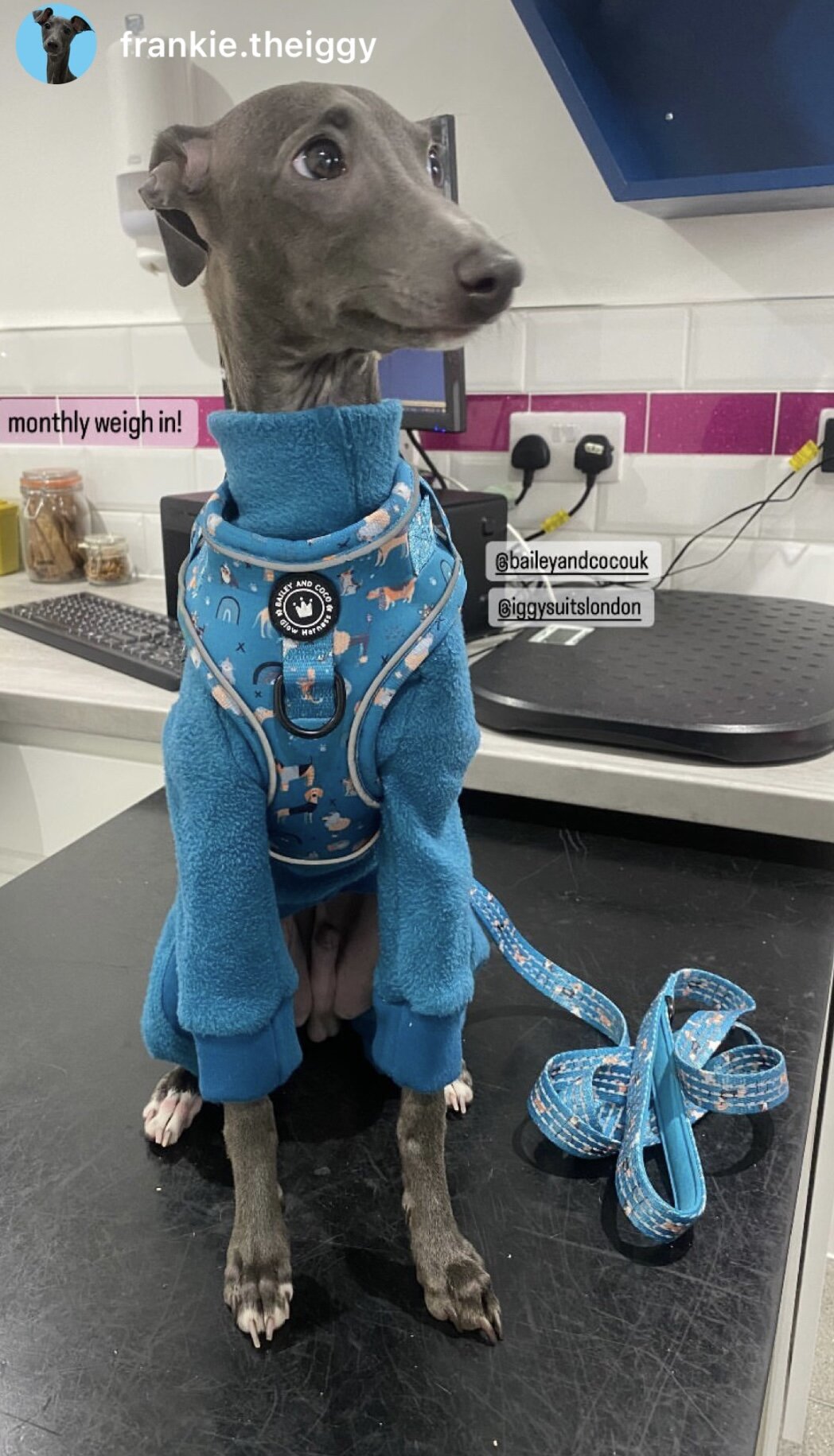 Fleece Lined Sweatshirt - Teal