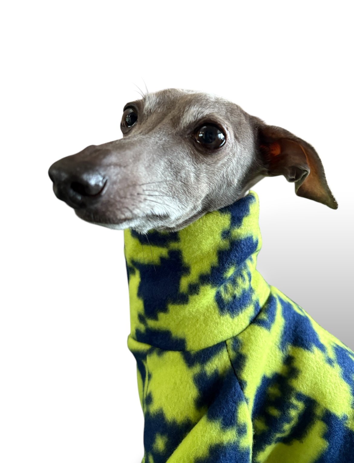 Fleece Jumper - Neon Skull