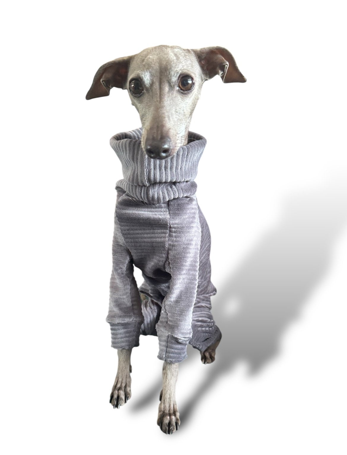 Jumbo Cord Jersey Suit - Grey