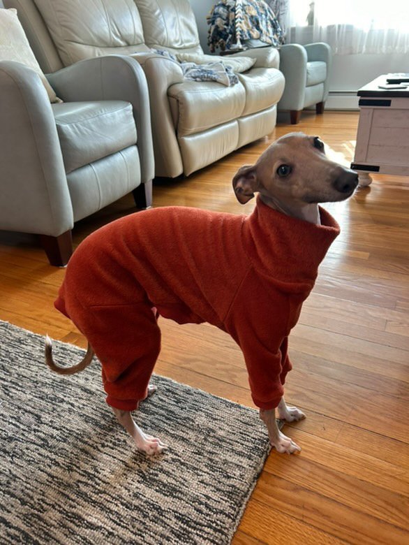 Fleece Lined Sweatshirt Suit - Rust Orange