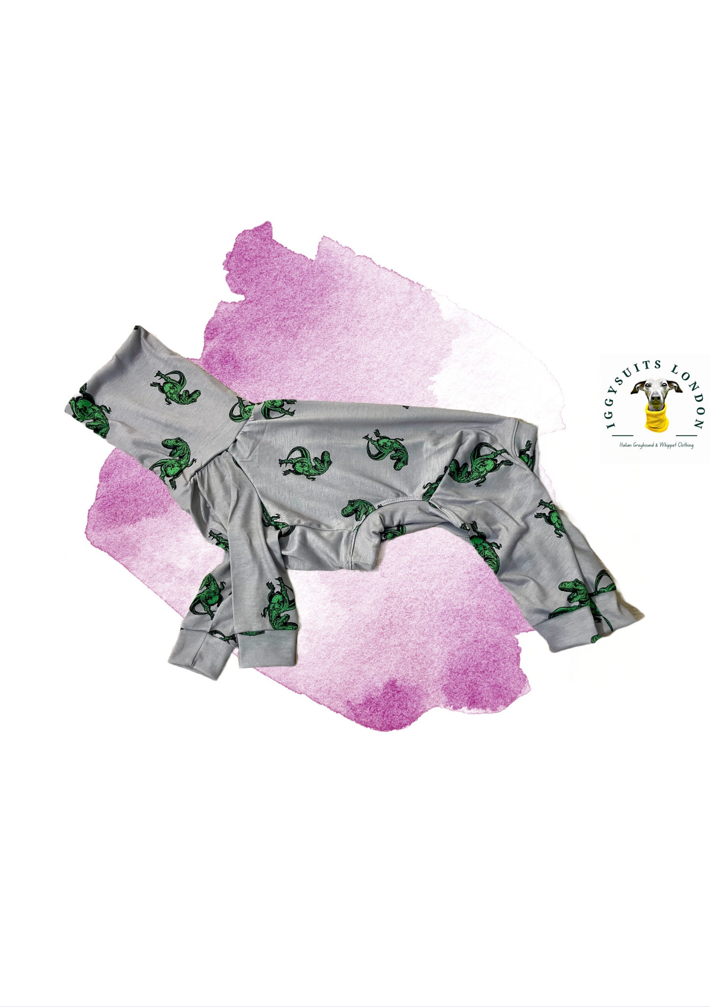Jersey Suit - Dinosaurs