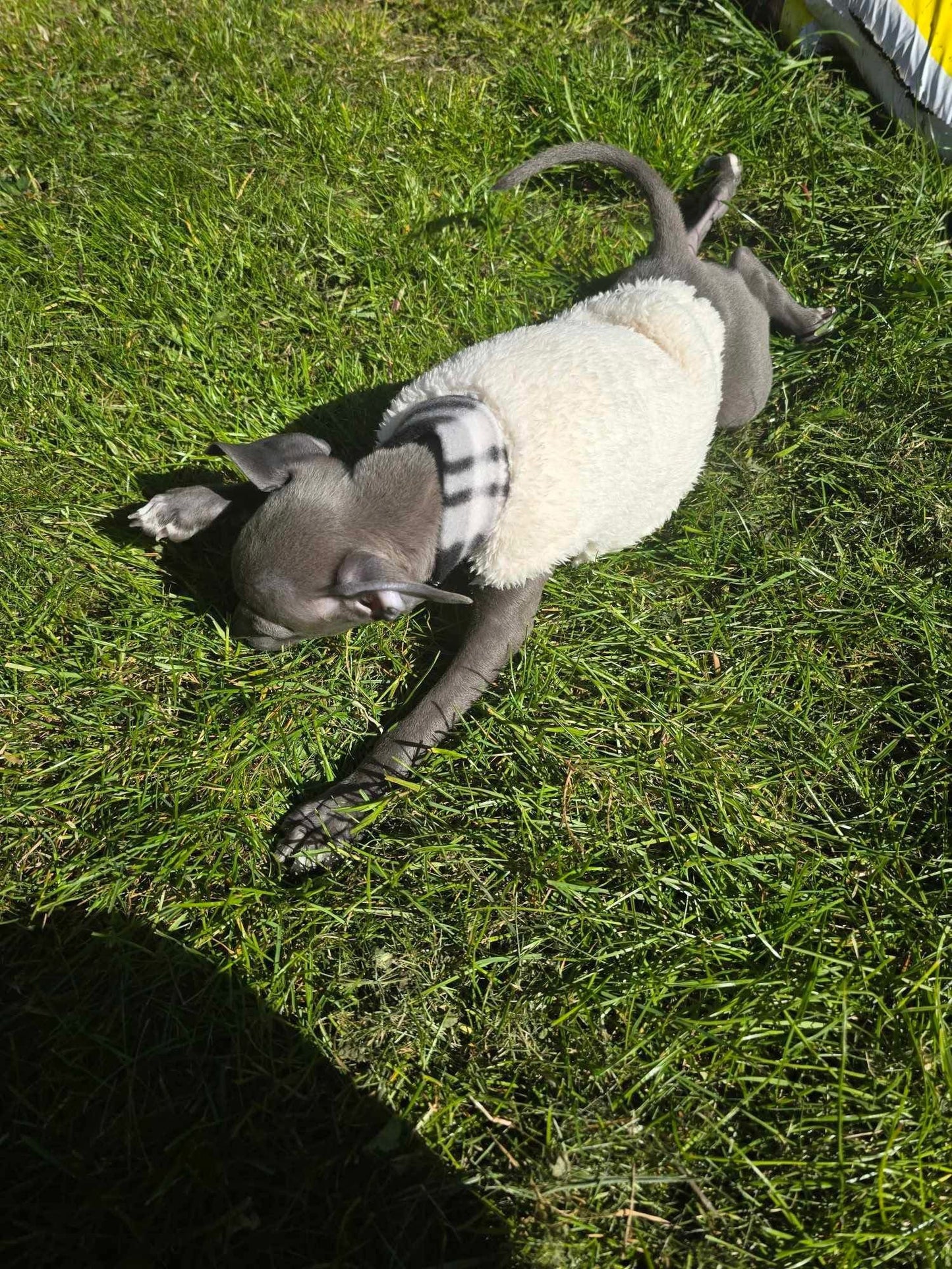 Fleece Vest - Plaid Fluff
