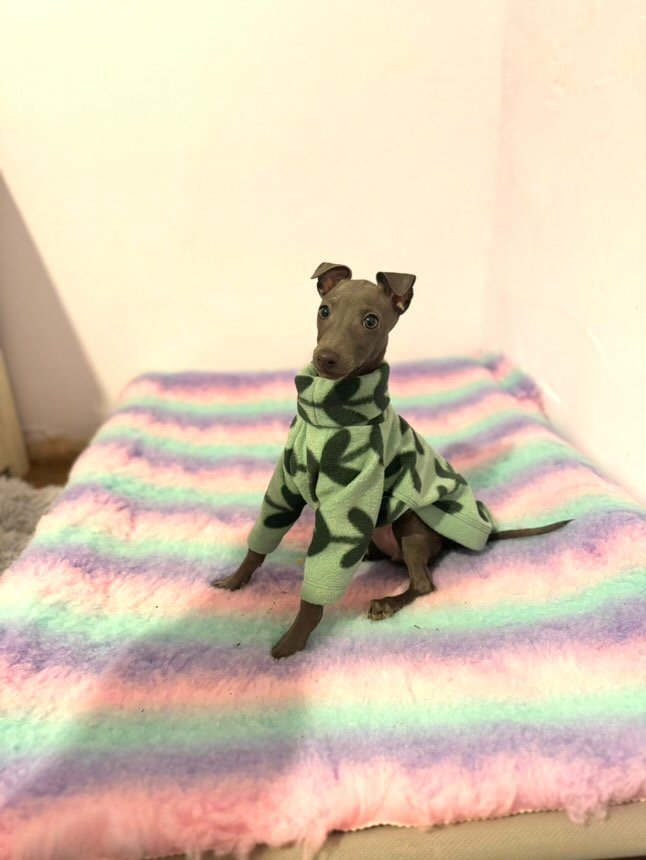 Fleece Jumper - Aztec Ultra-Plush Blue