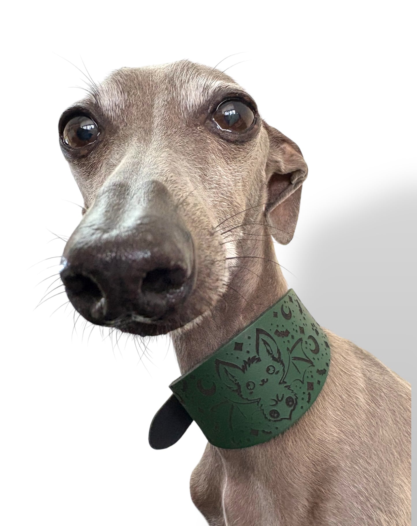 Leather Collar - HALLOWEEN - The Moonlit Bat