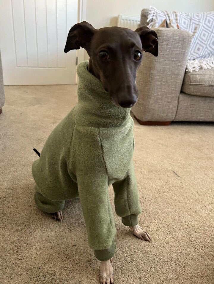 Fleece Lined Sweatshirt - Polar Bears