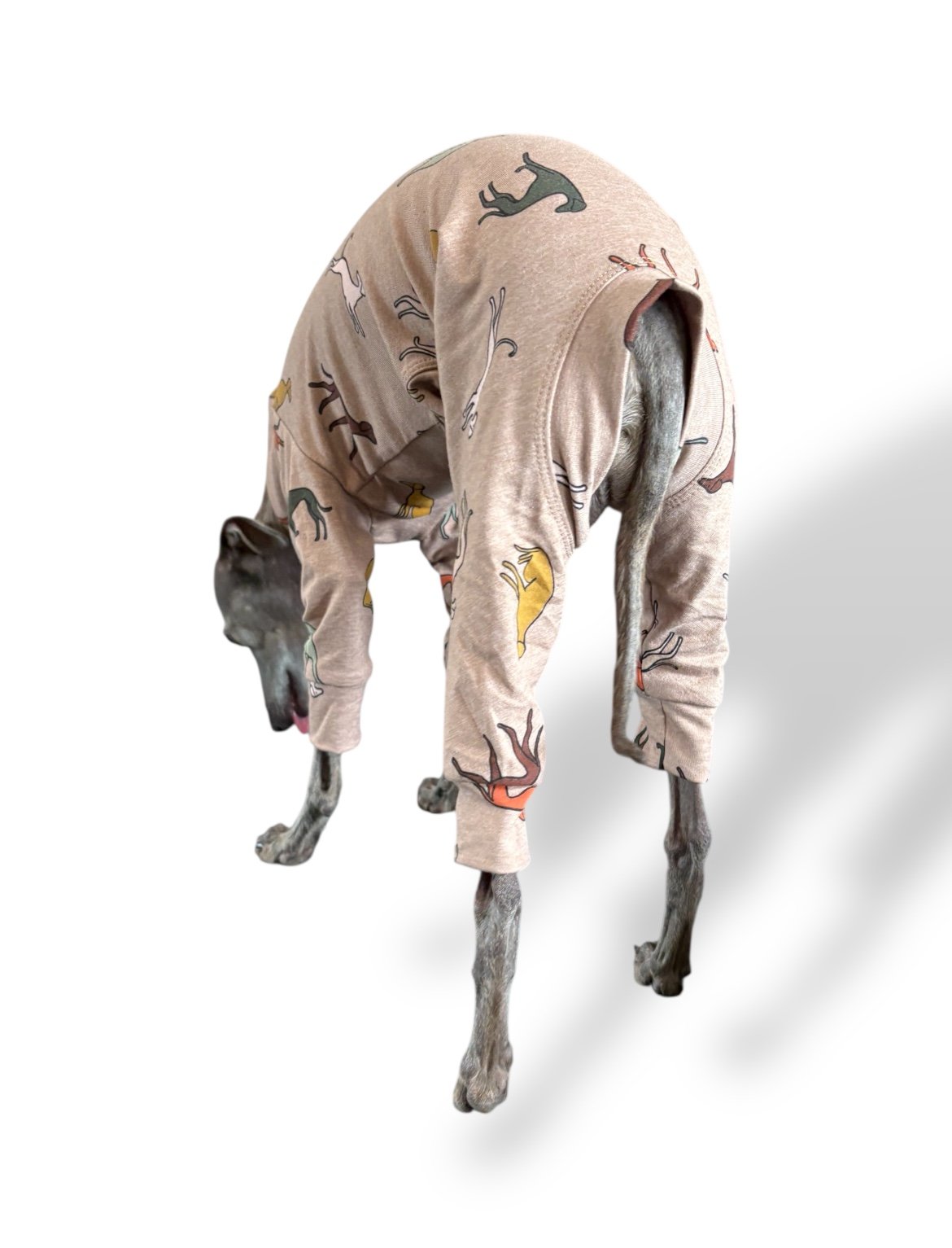 Jersey Suit - Houndin' Around!