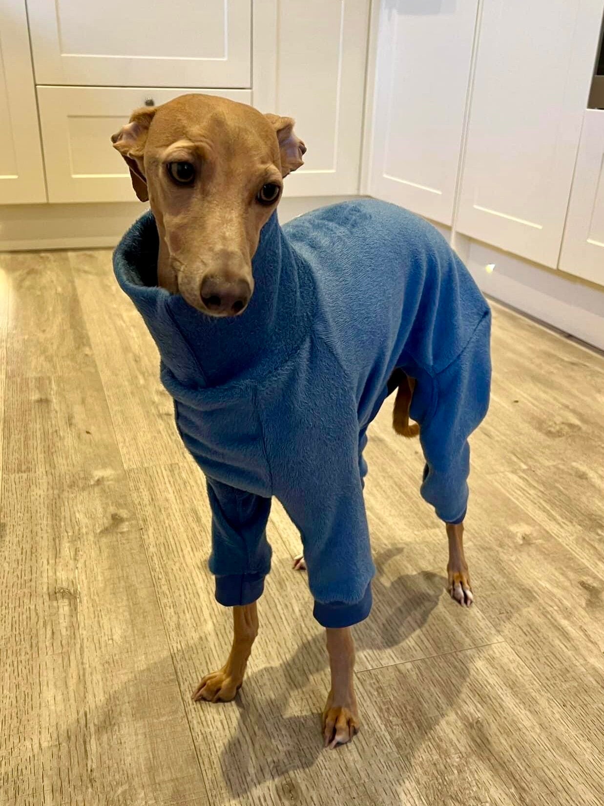 Fleece Lined Sweatshirt - Teal
