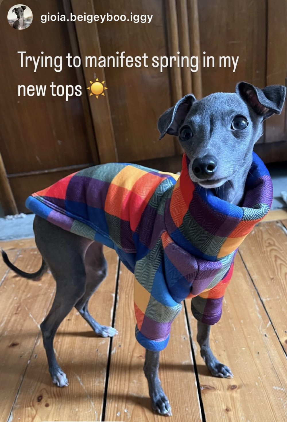 Sherpa Lined Fleece Jumper - Bright Plaid