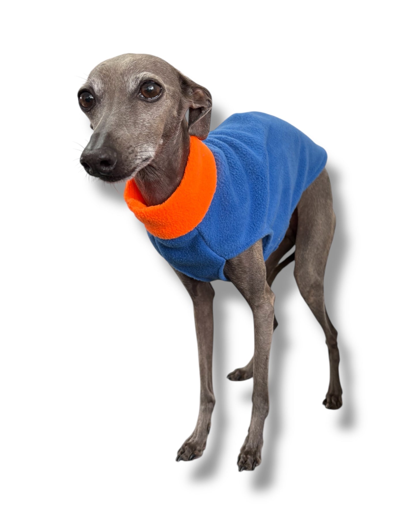 Fleece Vest - Blue & Orange
