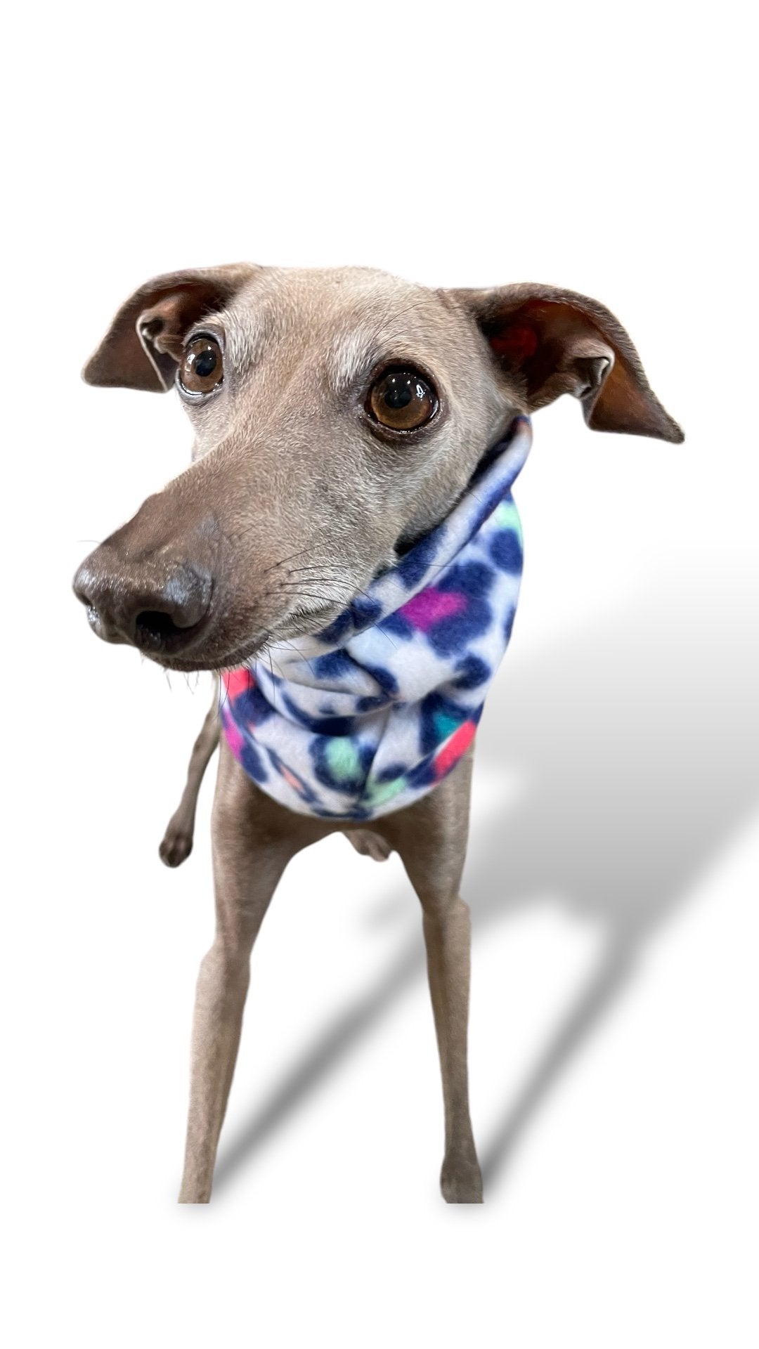 Snoods (Various) - Fleece & Sweatshirt