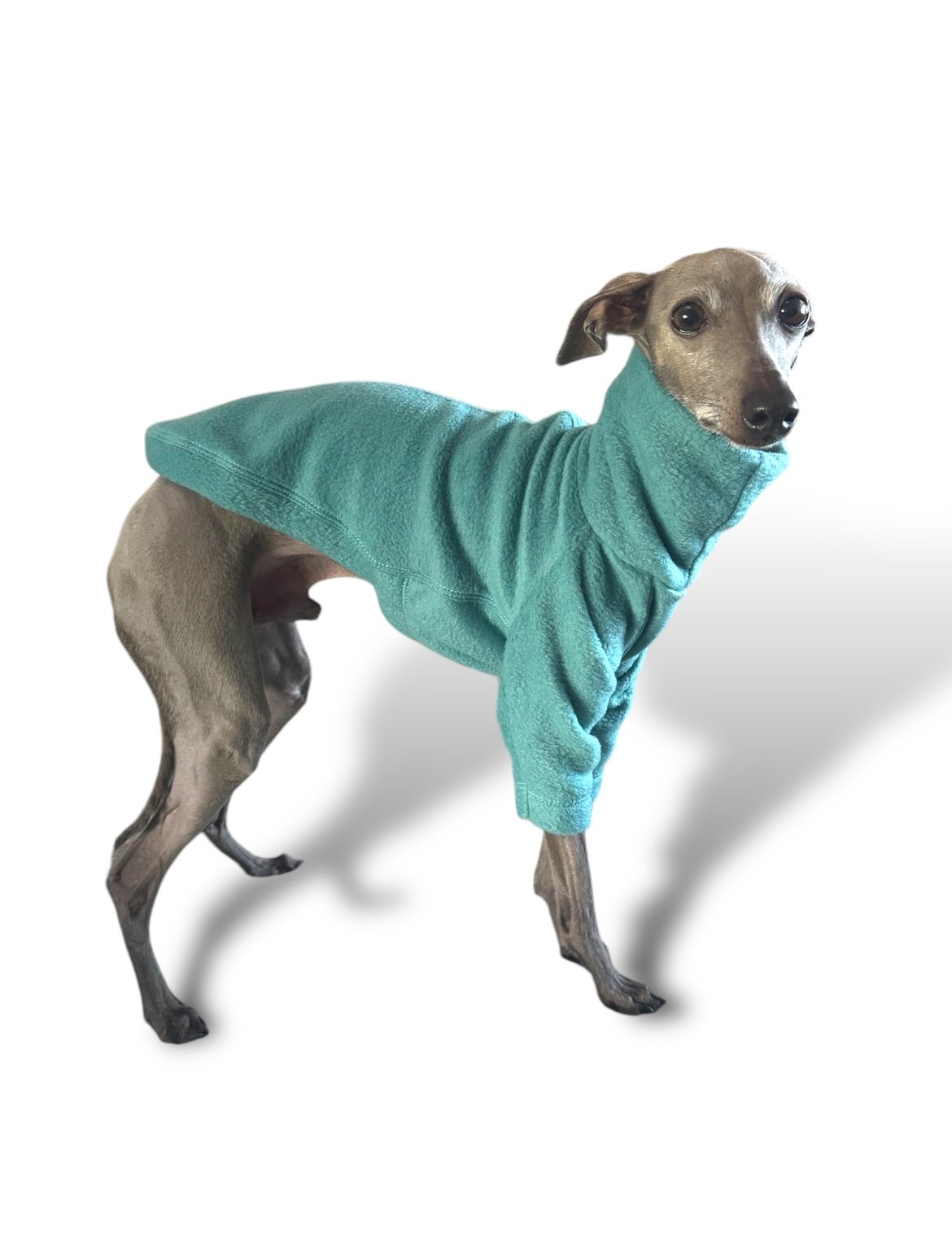Fleece Jumper - Teal