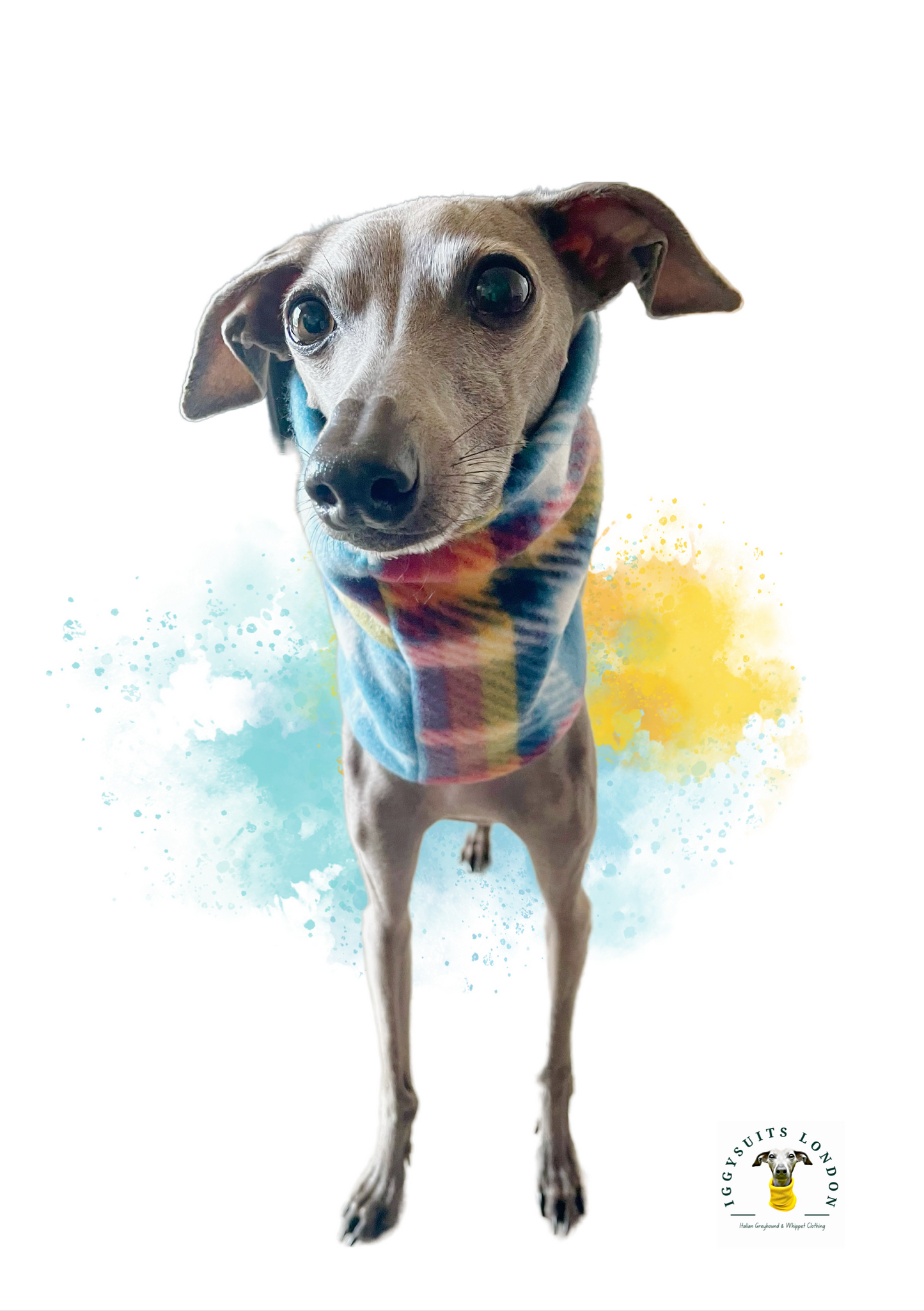 Snoods (Various) - Fleece & Sweatshirt