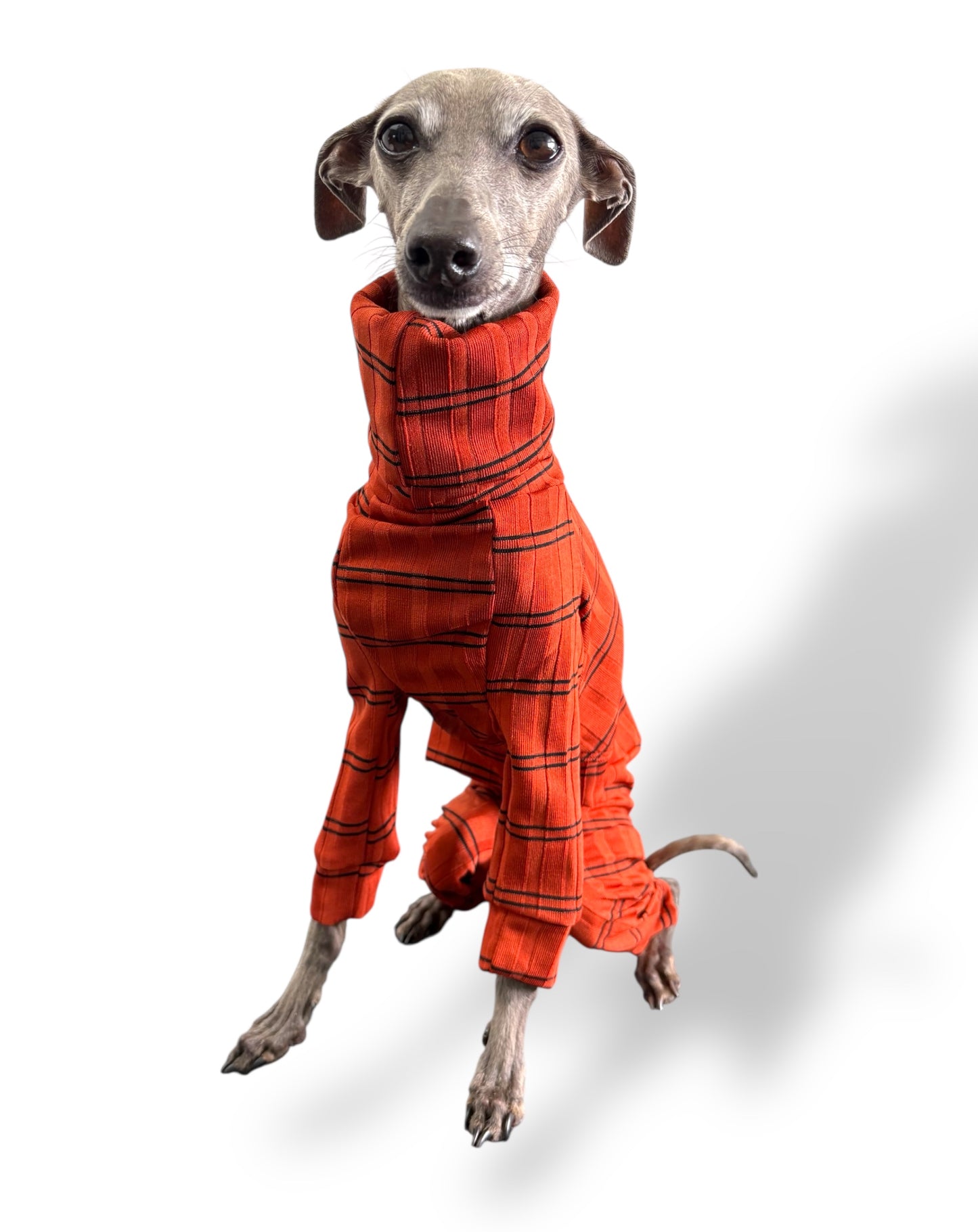 Ribbed Jersey Suit - Rust Orange
