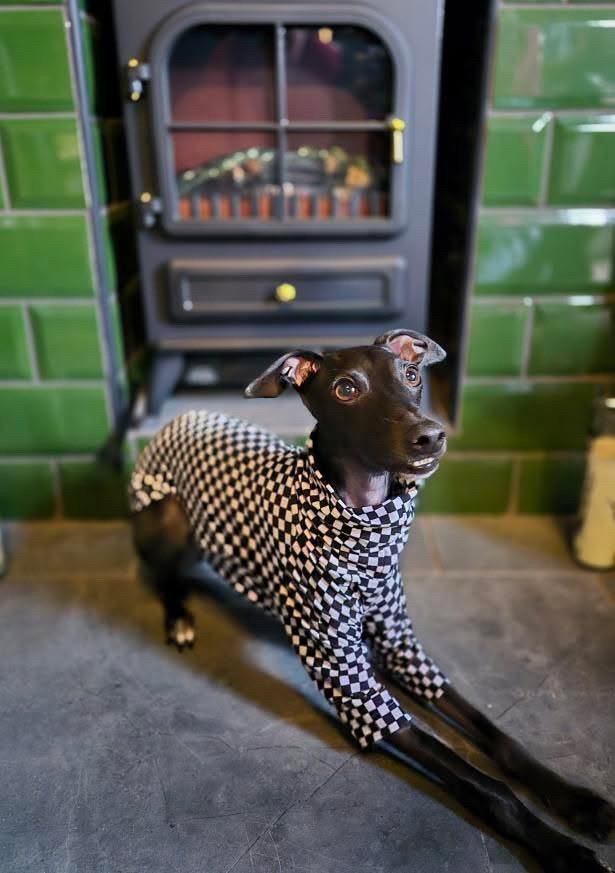 Jersey T-Shirt- Checkerboard