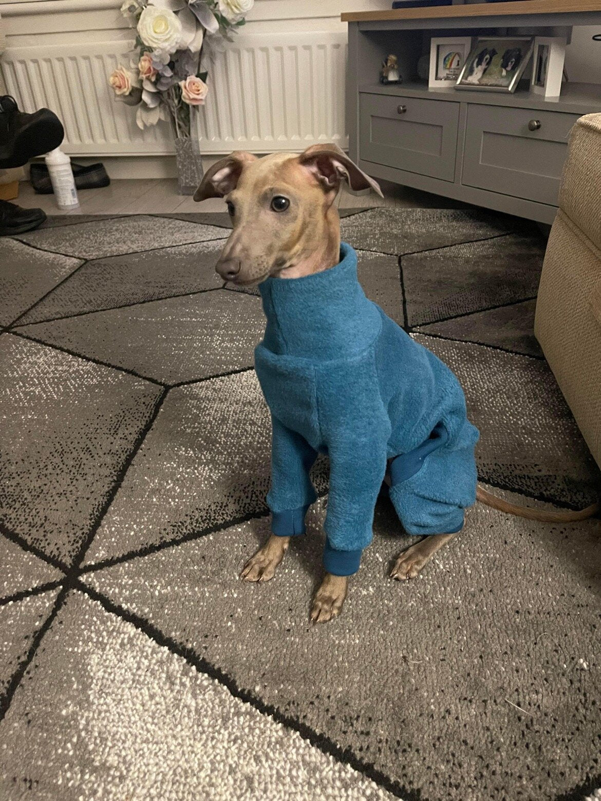 Fleece Lined Sweatshirt - Teal