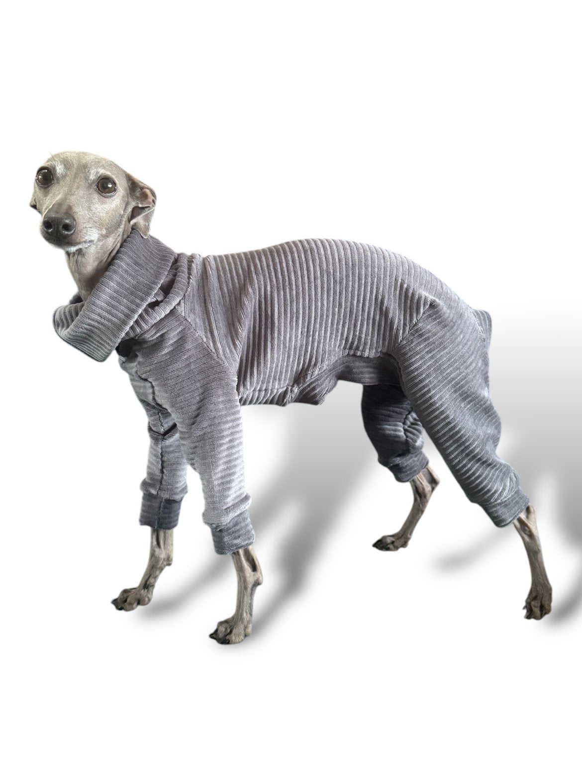 Jumbo Cord Jersey Suit - Grey