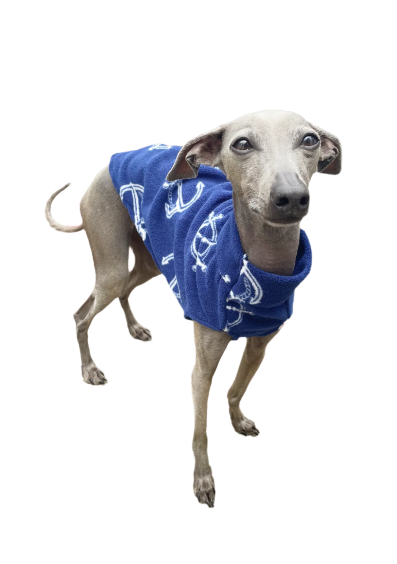 Lightweight Fleece Vest - Anchors Ahoy
