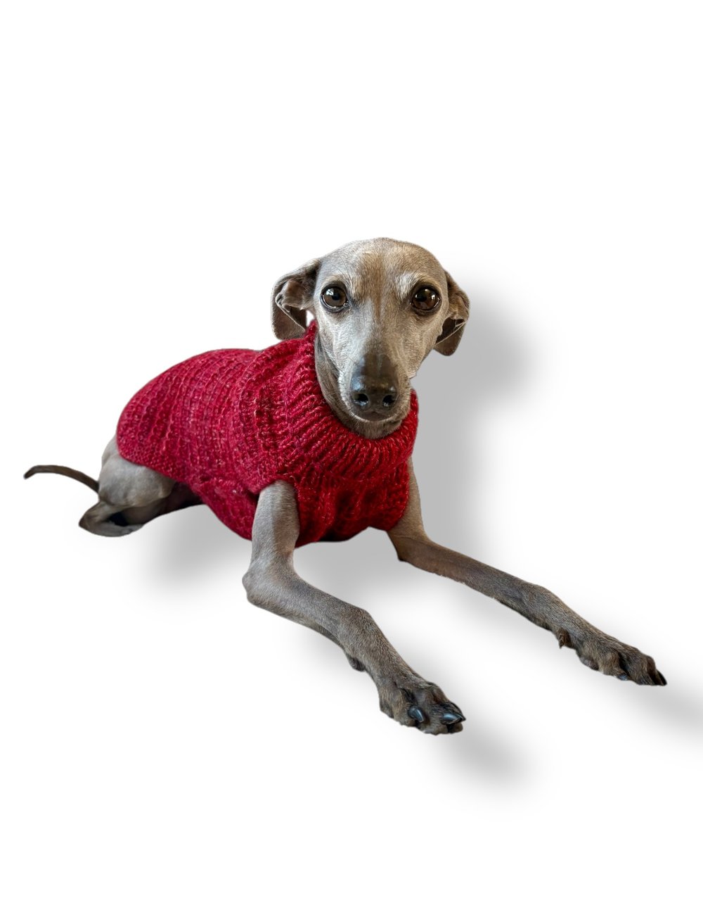 Knitted Jumper - Button Up - Purple