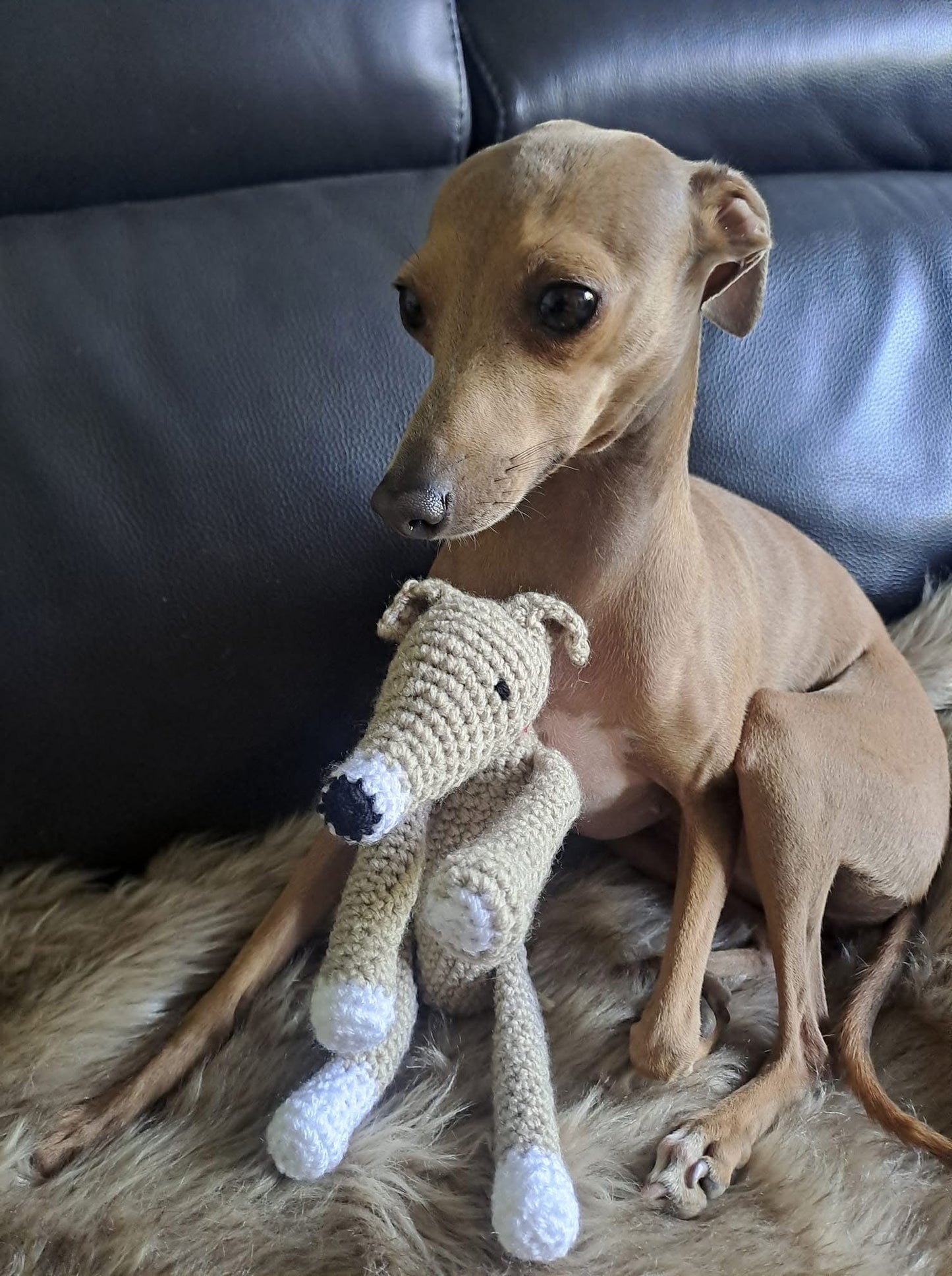 Crochet Hound - Fawn