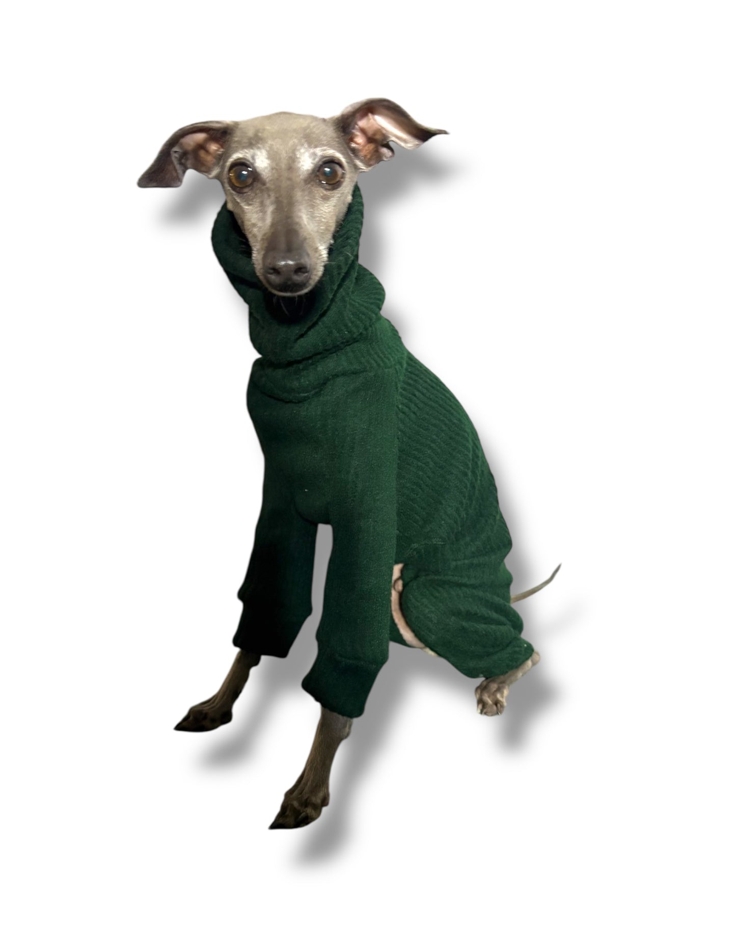 Ribbed Jersey Suit - Bottle Green