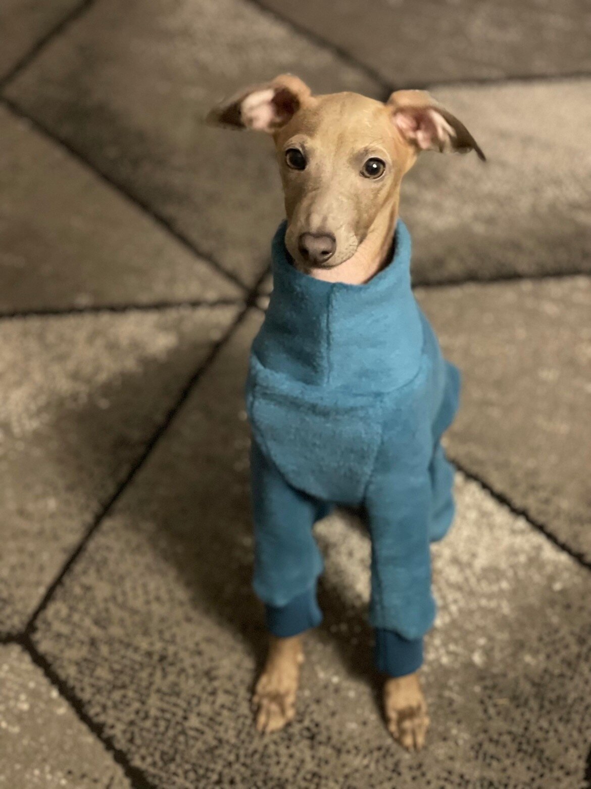 Fleece Lined Sweatshirt - Teal